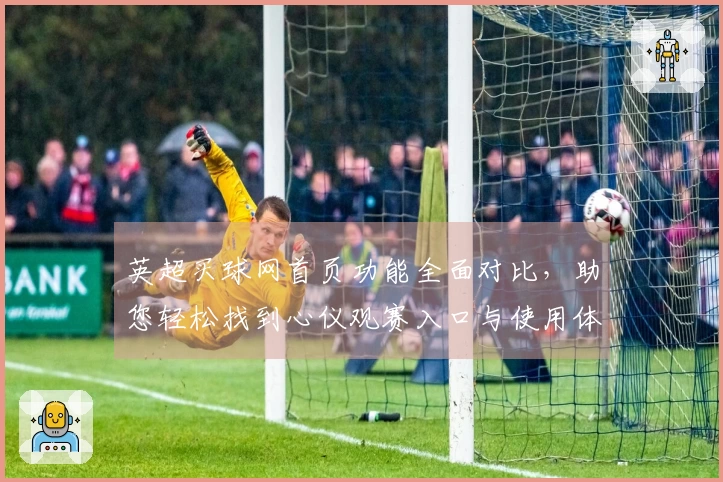 英超买球网首页功能全面对比，助您轻松找到心仪观赛入口与使用体验