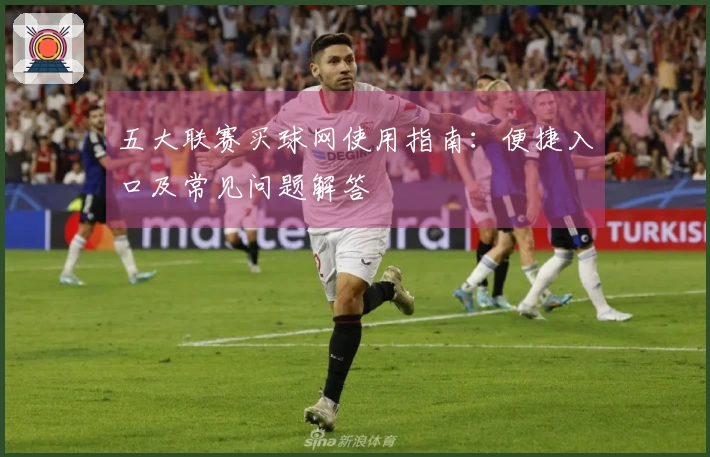 五大联赛买球网使用指南：便捷入口及常见问题解答