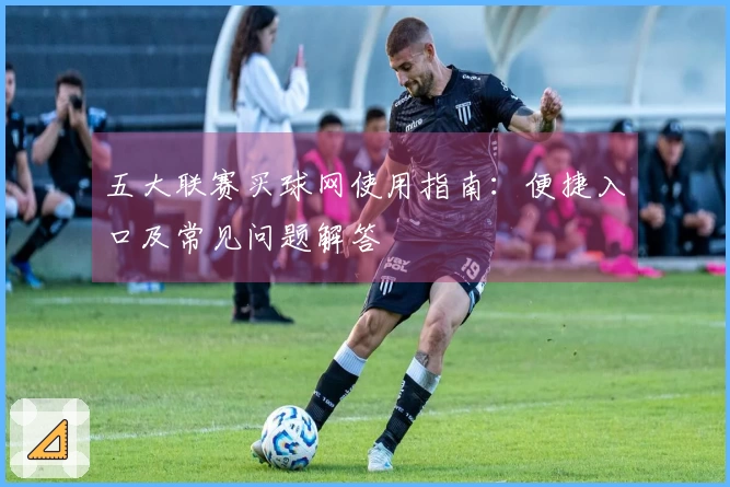 五大联赛买球网使用指南：便捷入口及常见问题解答