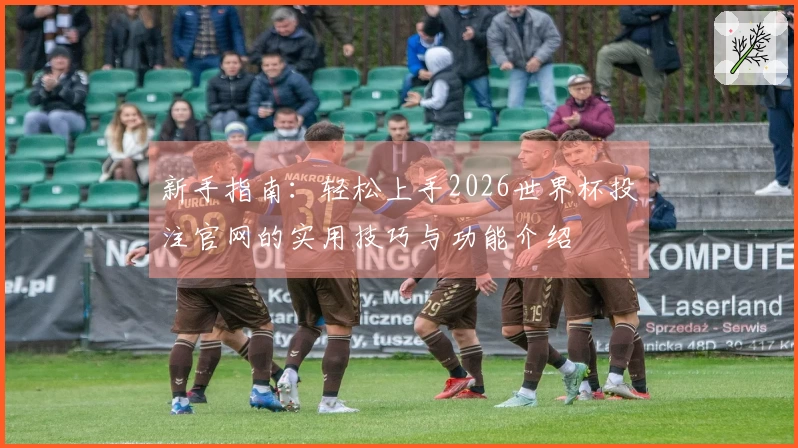 新手指南：轻松上手2026世界杯投注官网的实用技巧与功能介绍